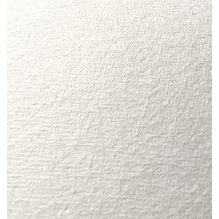 Chiffon absorbant nanofibre | Lot de 2 chiffons