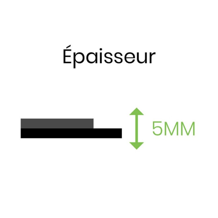 Tapis anti-salissures extérieur : tapis fin et résistant