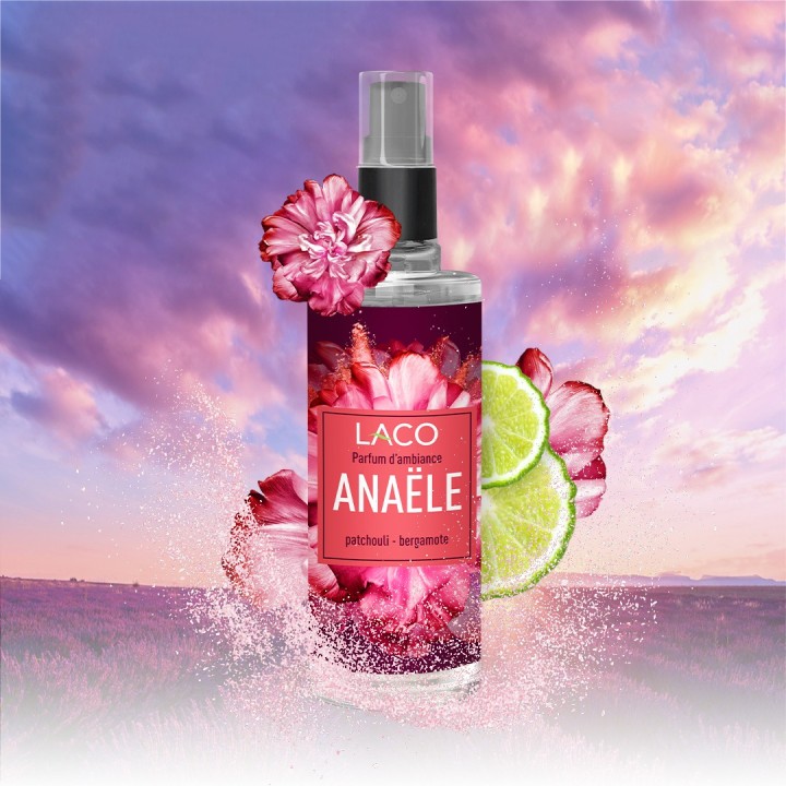 Parfum d'ambiance aux huiles essentielles pour la maison
