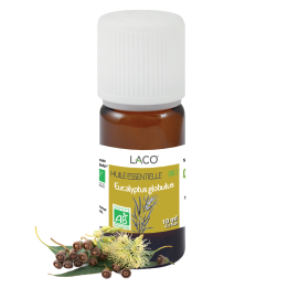 Huile essentielle d'eucalyptus Bio - Globulus