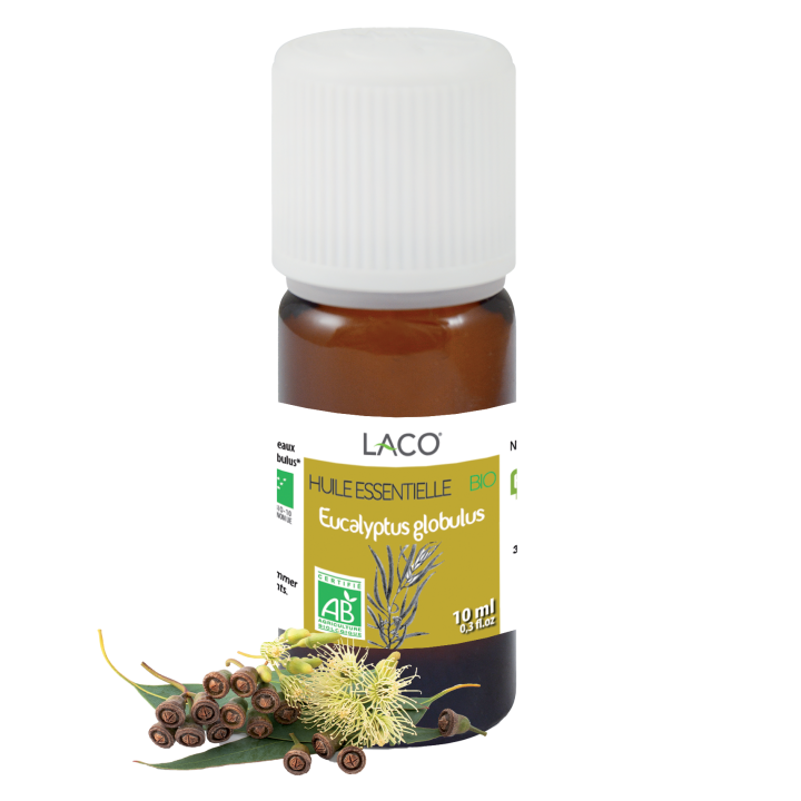 Huile essentielle d'eucalyptus Bio - Globulus