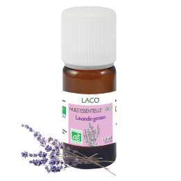 Huile essentielle de lavande bio - Lavandin Grosso