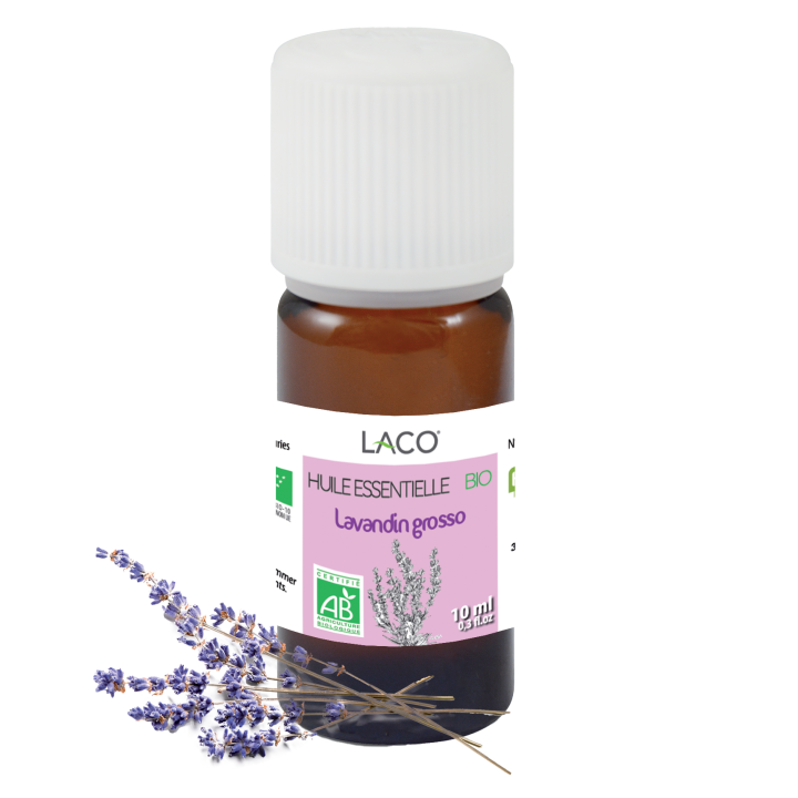 Huile essentielle de lavande bio - Lavandin Grosso