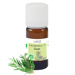 Huile Essentielle de Tea Tree Bio - 10ml