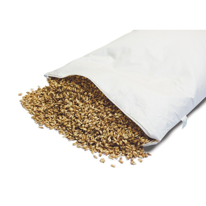 Oreiller naturel épeautre : coussin cervical épeautre